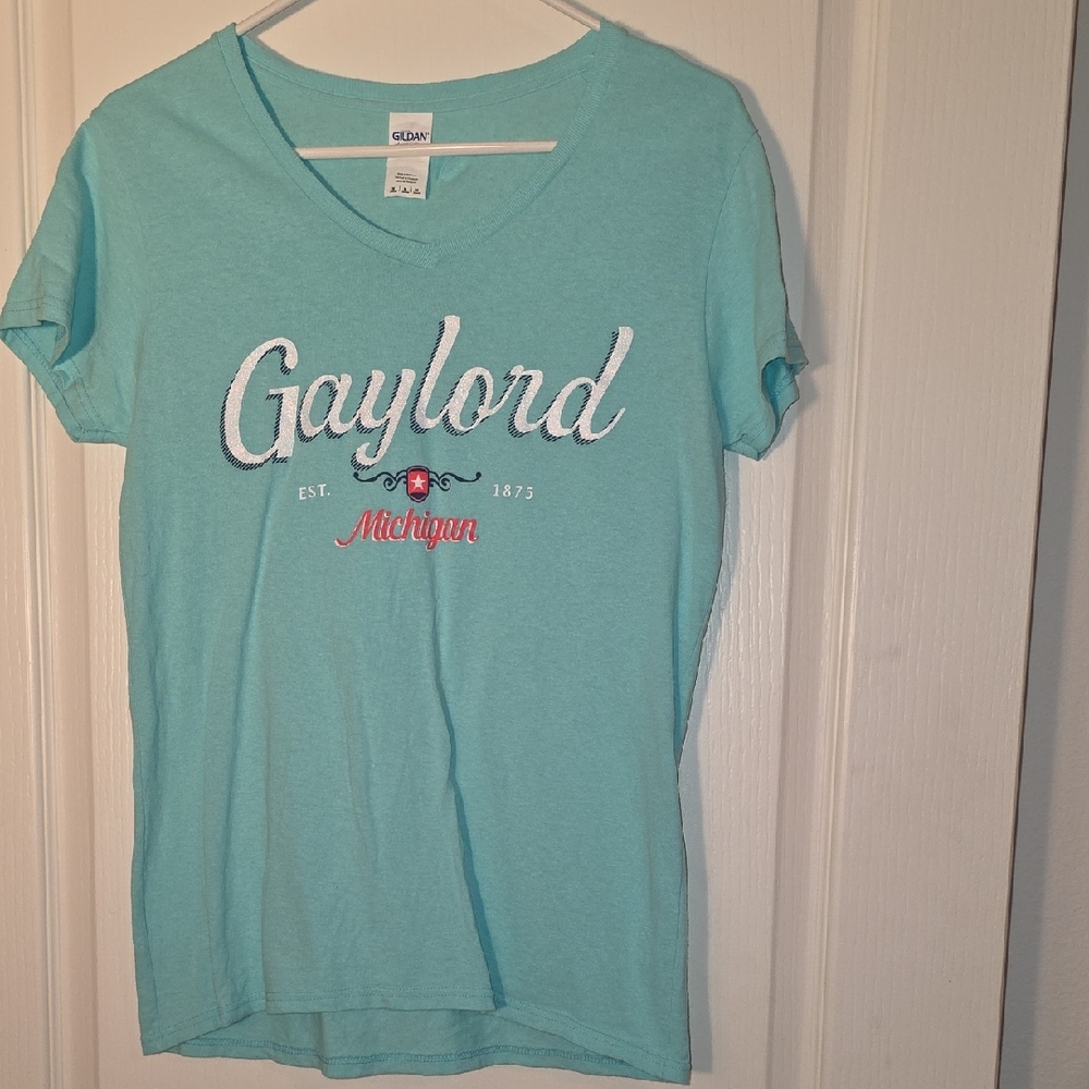Gildan Aqua Gaylord Graphic Tee